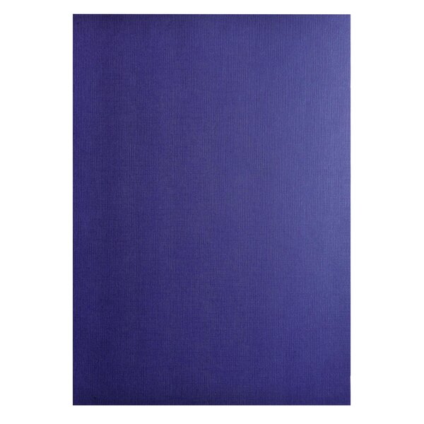 Paquet De 100 Couvertures Grain Toilé Pour Reliure A4 - Bleu Foncé - Exacompta