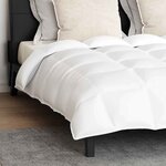 vidaXL Couette Other avec oreiller 3 Pièces Blanc 260 x 220 cm Bas