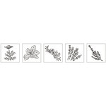 Kit mini-tampons en bois : Herbes aromatiques