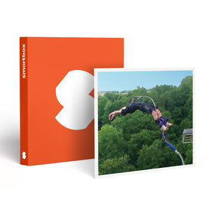 SMARTBOX - Coffret Cadeau Saut à l’élastique en tandem au viaduc de Saint-Georges-le-Gaultier avec certificat et souvenir pour 2 - Sport & Aventure