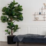 House Nordic Banc Lyla Noir