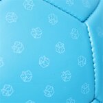 Johntoy B0908 - Sport Active Ballon de football Taille 5  420 Grammes  bleu