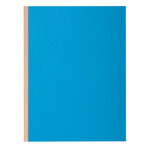 Pt 10 chem.à soufflet ROCK''S 320g bleu EXACOMPTA