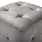 vidaXL 2 Pièces Poufs Gris 30 x 30 x 30 cm Tissu velours