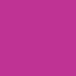 Stylo feutre V Sign Pen Pointe moyenne 0 6 mm Violet PILOT