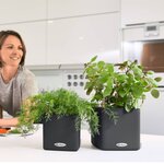Lechuza jardinière de table cube color 14 all-in-one anthracite