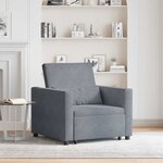 vidaXL Canapé Lit Simple Gris foncé 90 x 165 x 87 cm Velours