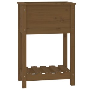 vidaXL Jardinière avec étagère Marron miel 54x34 5x81 cm Bois de pin