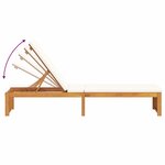 vidaXL Transat 1-personne Marron 200 x 55 x 94cm Bois d'acacia massif
