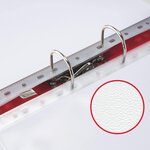 Sachet de 100 pochettes perforées Economy A5 PP grainée 0 05 mm Transparentes ESSELTE