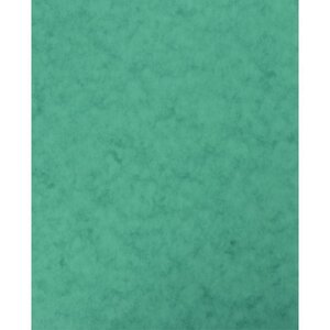 Lot de 10 protège-cahiers avec 2 grands rabats 18 x 22 cm en carte lustrée vert