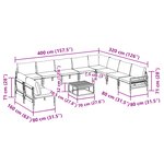 vidaXL Ensemble de canapé de jardin 11 Pièces Anthracite Acier