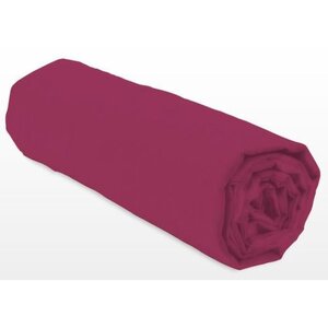 Drap-housse 160 x 200+30 cm - Fuchsia