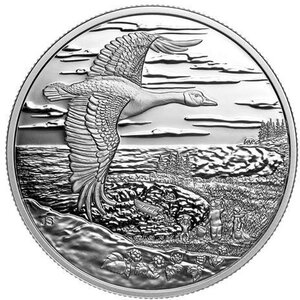Pièce de monnaie en Argent 20 Dollars g 31.39 Millésime 2025 INTERCONNECTED NATURE