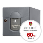 Boîte aux lettres Soléa  2 portes Gris anthracite aspect sablé REN 0206MS