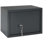 vidaXL Coffre avec Serrure à Clé Gris Foncé 25x35x25 cm Acier