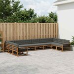 vidaXL Ensemble de canapés d'extérieur 10 pc Naturel et Anthracite