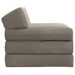 vidaXL Canapé-lit pliable Gris clair 200 x 70 x 10 cm Velours