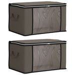 vidaXL Boîte de rangement avec fenêtre latérale transparente 2 pc Gris