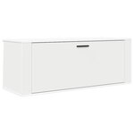 vidaXL Armoire à chaussures murale Blanc 100x35x38cm Bois d'ingénierie
