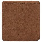 vidaXL Blocs de noix de coco 5 Pièces 5 kg chacun 25 kg au total