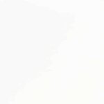 vidaXL Chaises à manger coussins 2 Pièces blanc bois massif caoutchouc