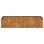 vidaXL Jardinière rouillé 200x80x40 cm acier inoxydable