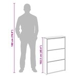 vidaXL Meuble à chaussures 3 étagères 63x17x102 5 cm Miroir Blanc