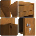 vidaXL Boîte de dépôt de colis Rouillé 41 x 38 x 103 cm Acier patiné