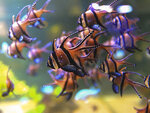 SMARTBOX - Coffret Cadeau À la découverte des secrets de l’océan : 2 entrées adulte coupe-file à l’aquarium Nausicaá en basse saison -  Sport & Aventure
