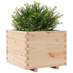 vidaXL Jardinière 60x60x49 5 cm bois de pin massif