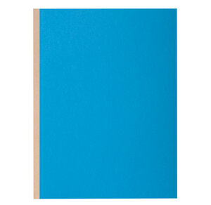 Pt 10 chem.à soufflet ROCK''S 320g bleu x 10 EXACOMPTA