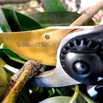 GRÜNTEK Sécateur de dérivation Z-25 pour les droitiers 215 mm