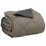 vidaXL Duvet d'été simple Gris clair et anthracite 240 x 200 cm