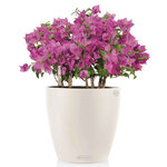 LECHUZA Jardinière Classico Color 28 ALL-IN-ONE Blanc brillant 13190