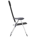 vidaXL Chaise pliante de camping lot de 2 Noir Aluminium