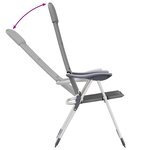 vidaXL Chaise de camping lot de 2 Gris 58x69x111 cm Aluminium