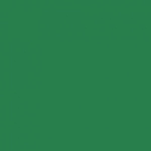 Paquet de 25 feuilles Cartoline 50 x 65 cm 120 g vert foncé