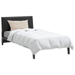 vidaXL Duvet d'été simple avec oreiller 2 Pièces Blanc Plume de canard