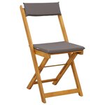 vidaXL Chaises de bistrot d'extérieur 2 Pièces Gris foncé 40 x 53 x 80 cm