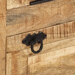 vidaXL Armoire à chaussures 4 niveaux avec tiroir Bois manguier brut