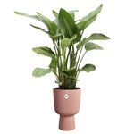 Pot de fleur Vibes Fold Coupe - Rose Ø 29.5 x hauteur 45 cm - Intérieur 100  recyclé