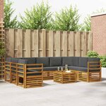 vidaXL Ensemble de canapés d'extérieur 10 pc Naturel et Anthracite