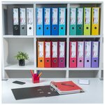 EXACOMPTA - Classeur a levier extra large - Dos 80mm -24,2 x 29,7 - Rembordé polypropylene - Fushia