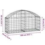 vidaXL Panier de gabions arqué 100x30x40/60 cm Fer galvanisé