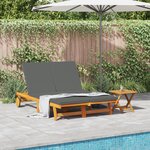 Chaise longue double vidaXL  avec roulettes et coussin en bois d'acacia