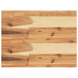 vidaXL Étagère flottante 40x30x4 cm acacia massif finition à l'huile