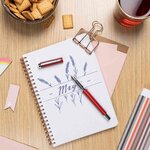Stylo plume triplus  taille de plume: F  rouge STAEDTLER