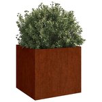 vidaXL Jardinières 2 Pièces 49x47x46 cm acier corten