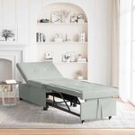 vidaXL Canapé-lit Gris clair 67 x 194 x 38 cm Velours